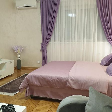 Elena Lux Apartment Beograd Bagian luar foto