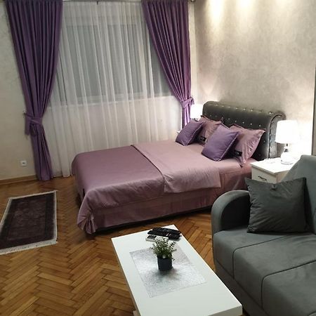 Elena Lux Apartment Beograd Bagian luar foto