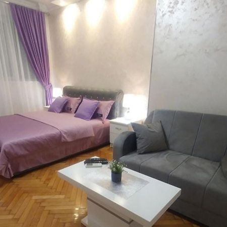 Elena Lux Apartment Beograd Bagian luar foto