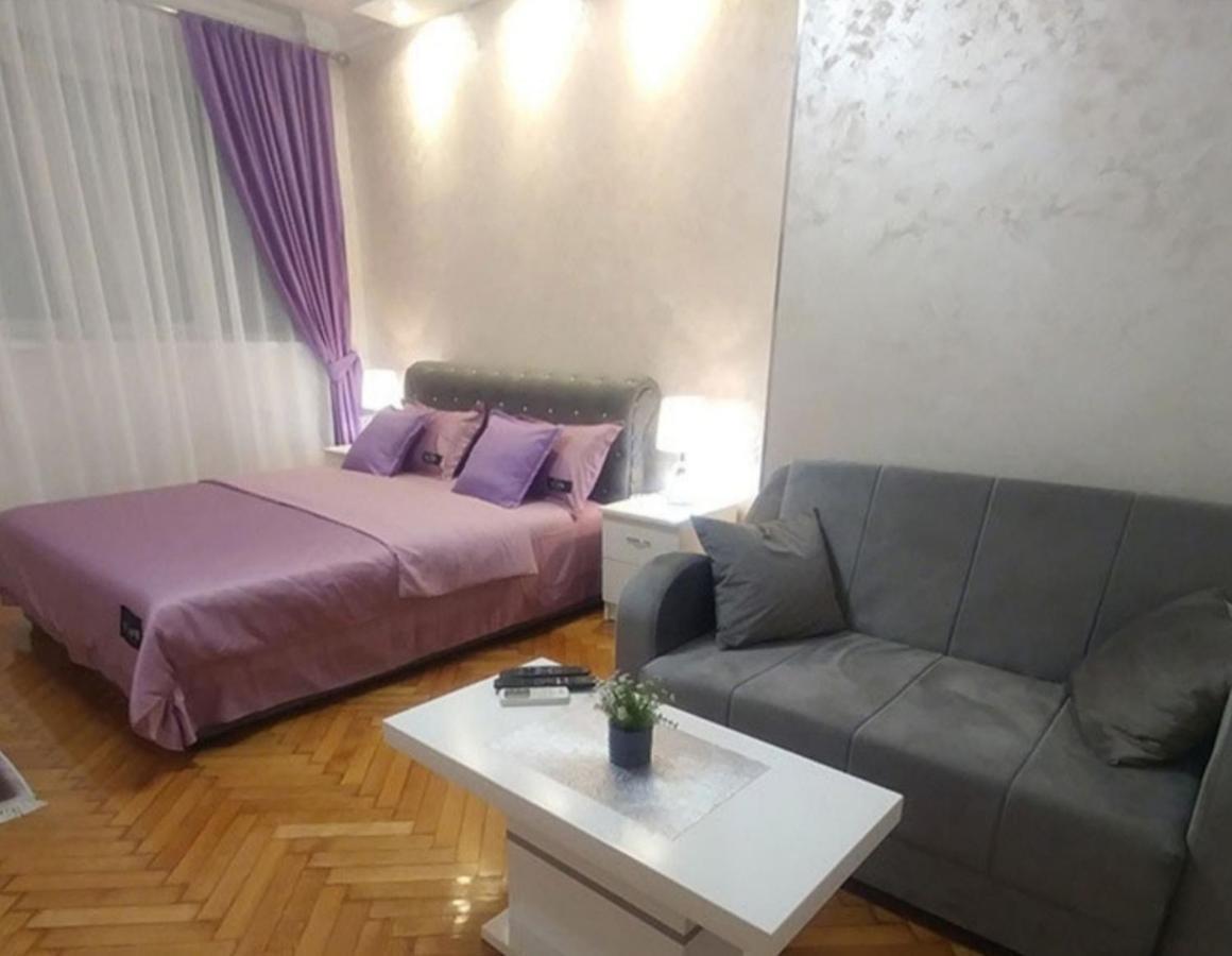 Elena Lux Apartment Beograd Bagian luar foto