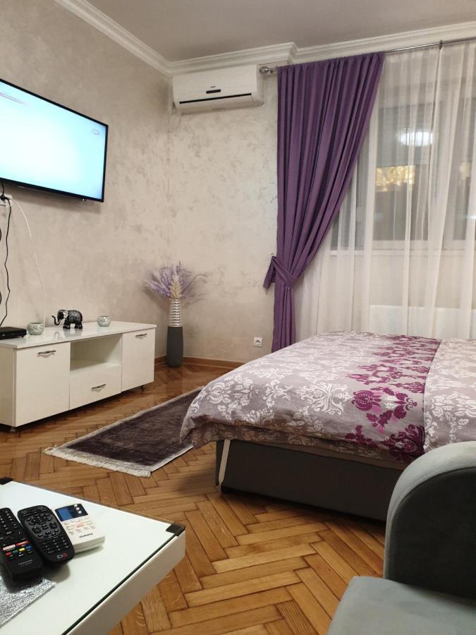 Elena Lux Apartment Beograd Bagian luar foto